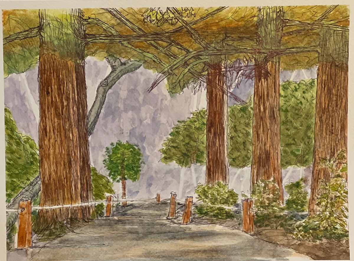 Path in the Forest by Lon Bender, Image 9.