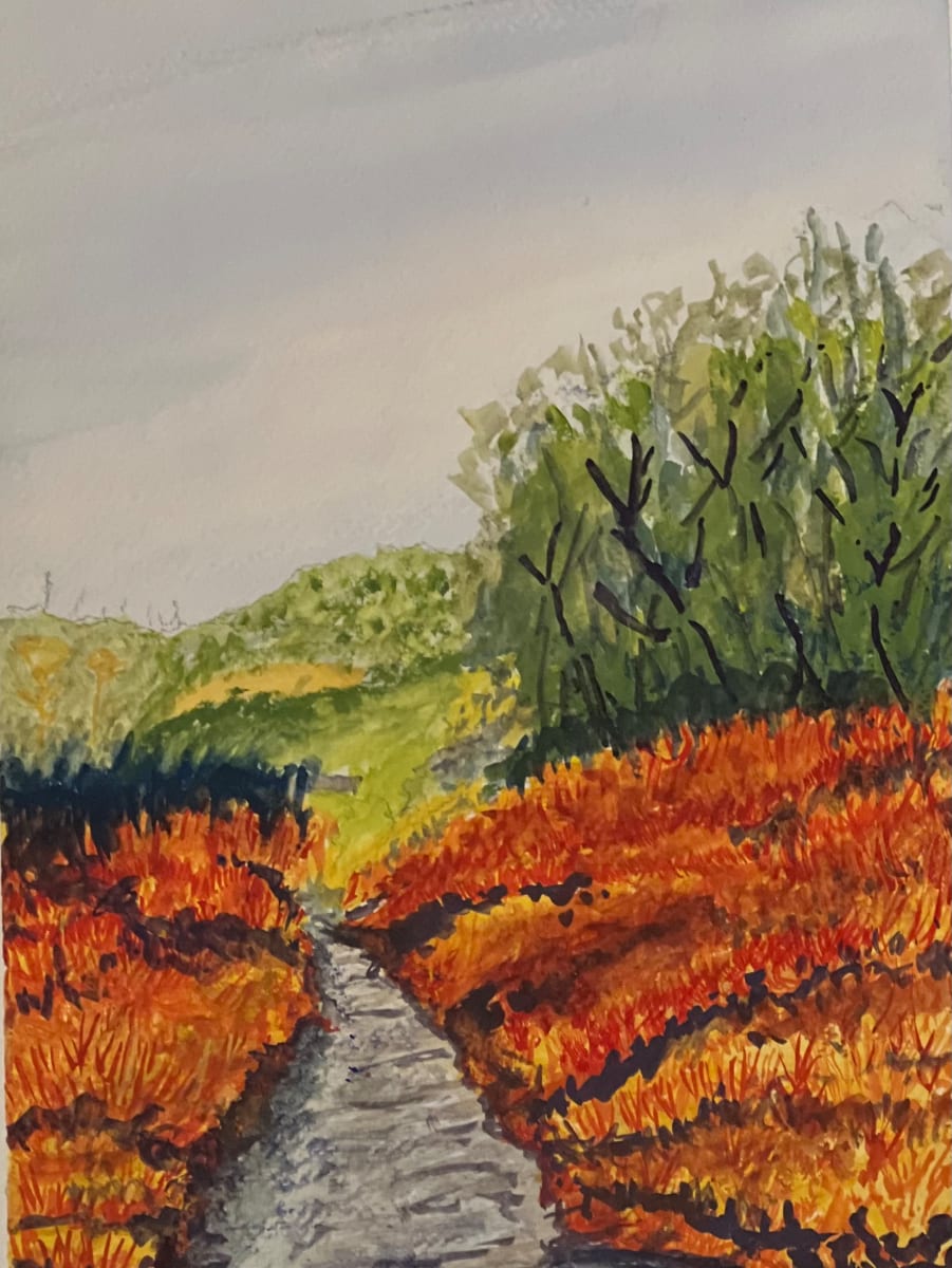 Trail to the bay Marin by Lon Bender 