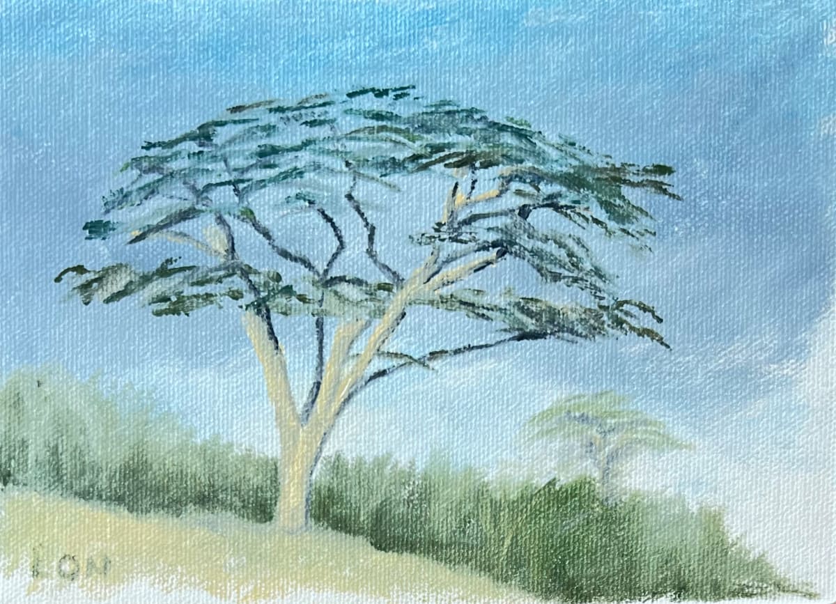 Albizias on a Hill by Lon Bender 