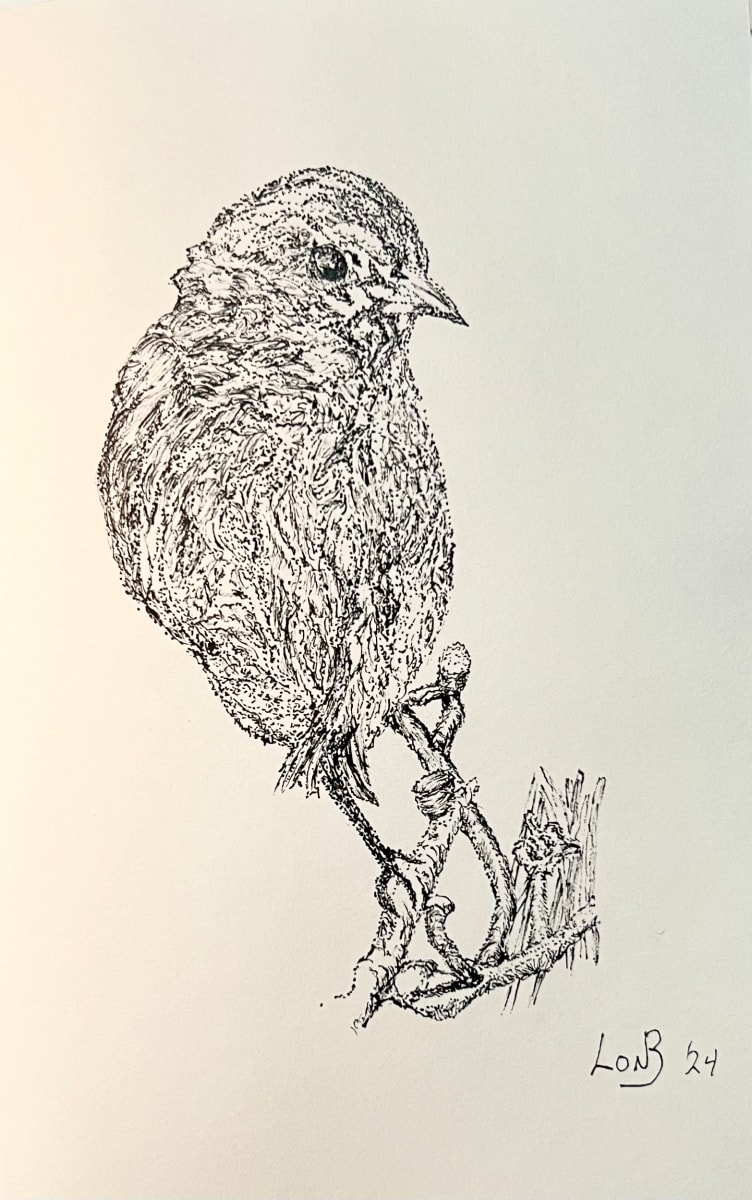 Little Bird by Lon Bender 