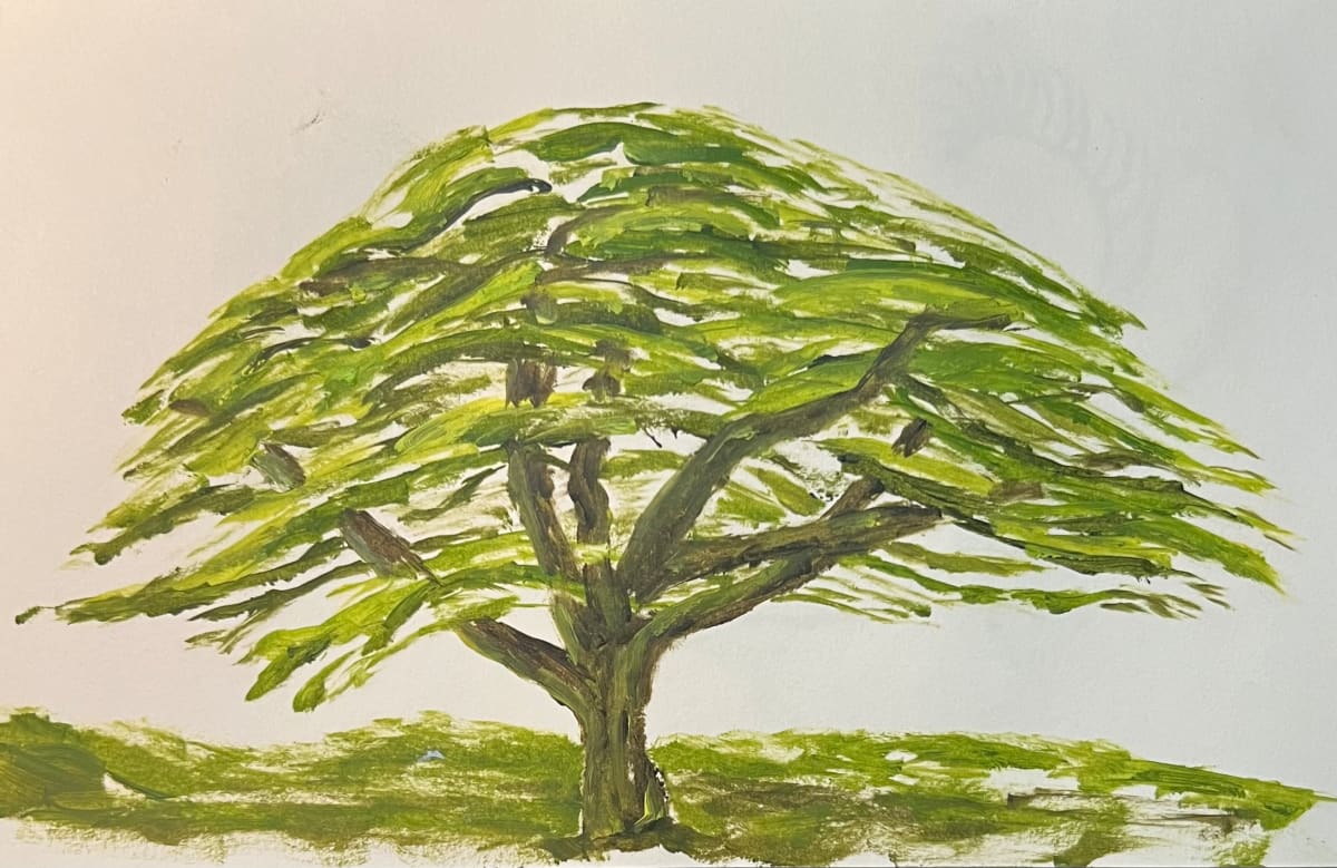 Monkey Paw Tree by Lon Bender 