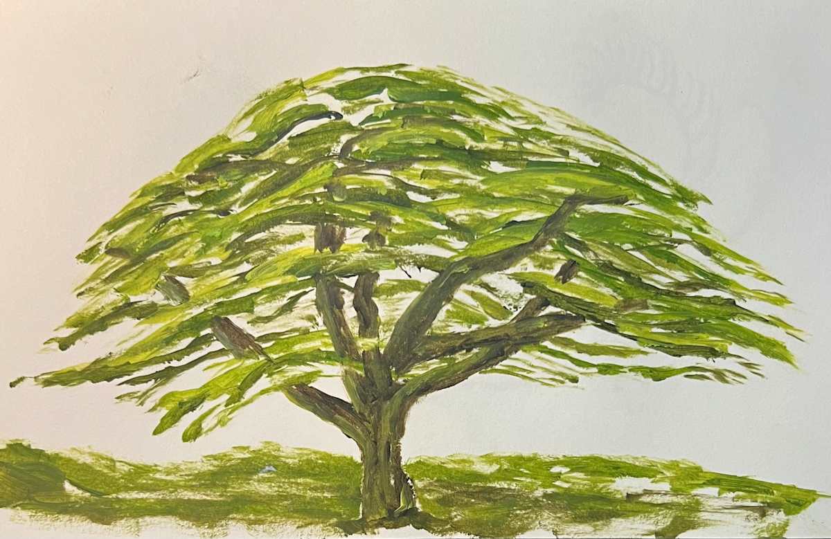 Monkey Paw Tree by Lon Bender, Image 4.