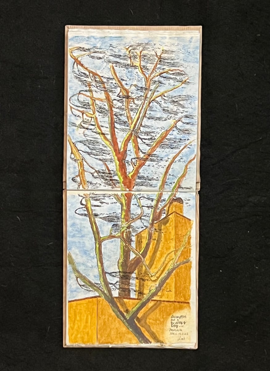 Eucalyptus on a Blustery Day by Lon Bender, Image 1.