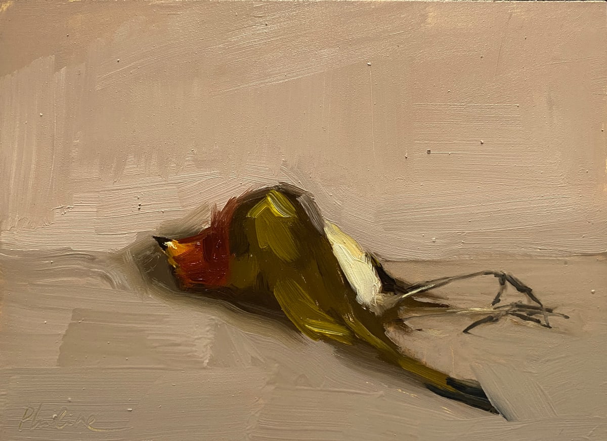 Roodborstje (Robin) by Philine van der Vegte 
