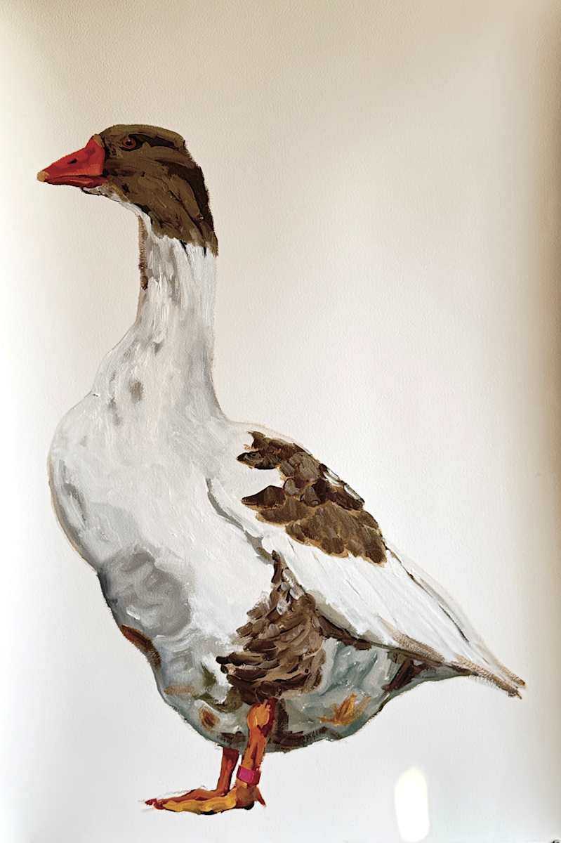 Ganzerik (Gander) by Philine van der Vegte 