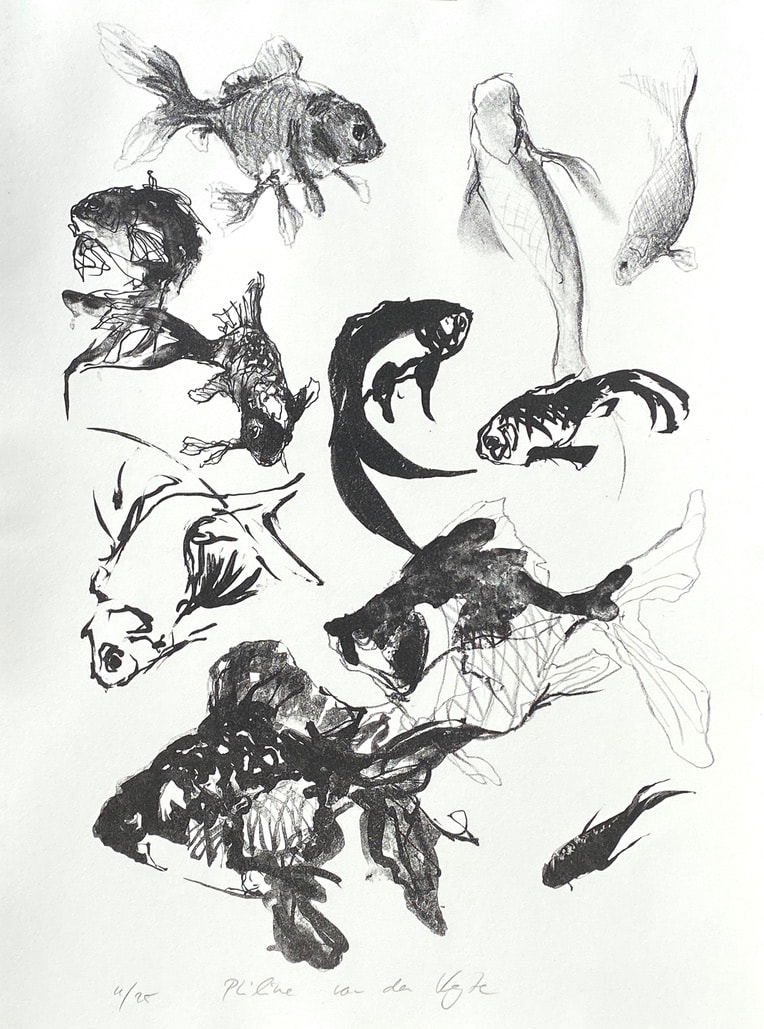 Goldfish sketches, litho by Philine van der Vegte 