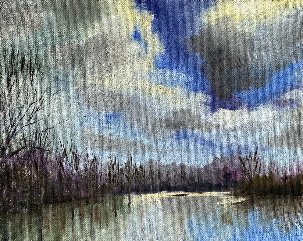 Flooded forest by Philine van der Vegte 