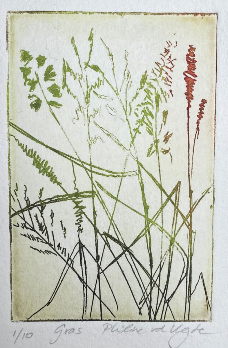 Gras by Philine van der Vegte 