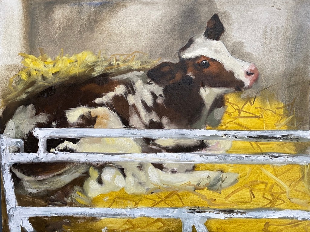 Calf study V by Philine van der Vegte 