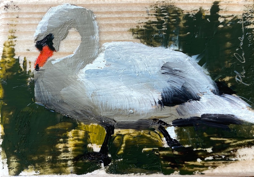 Swan II 