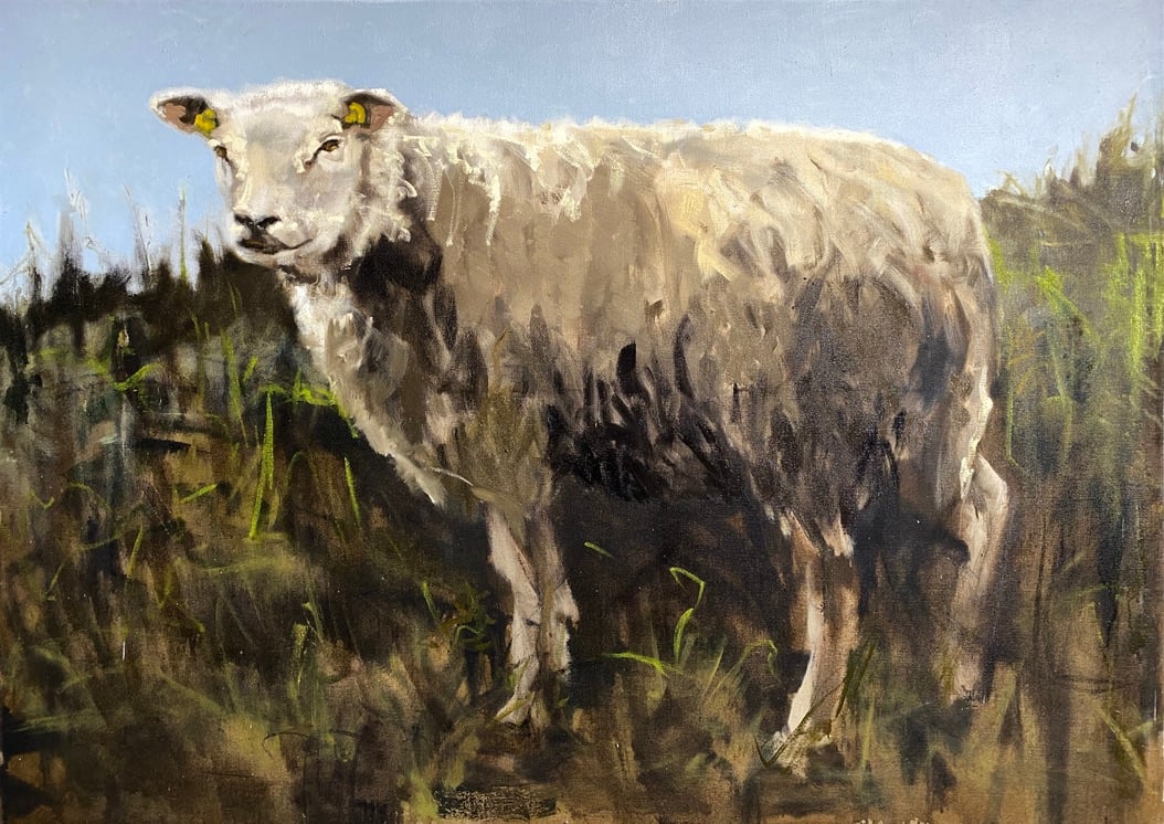 Wild and woolly 