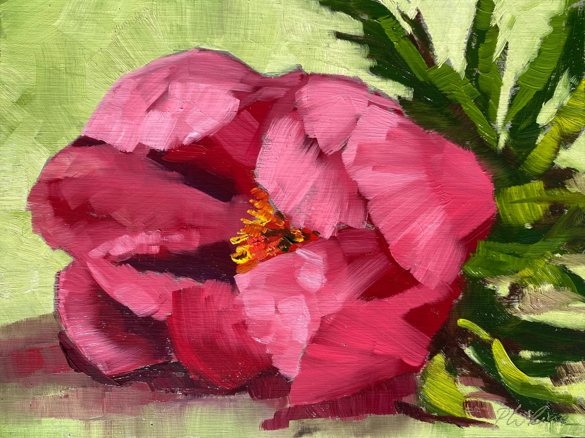 Peony 