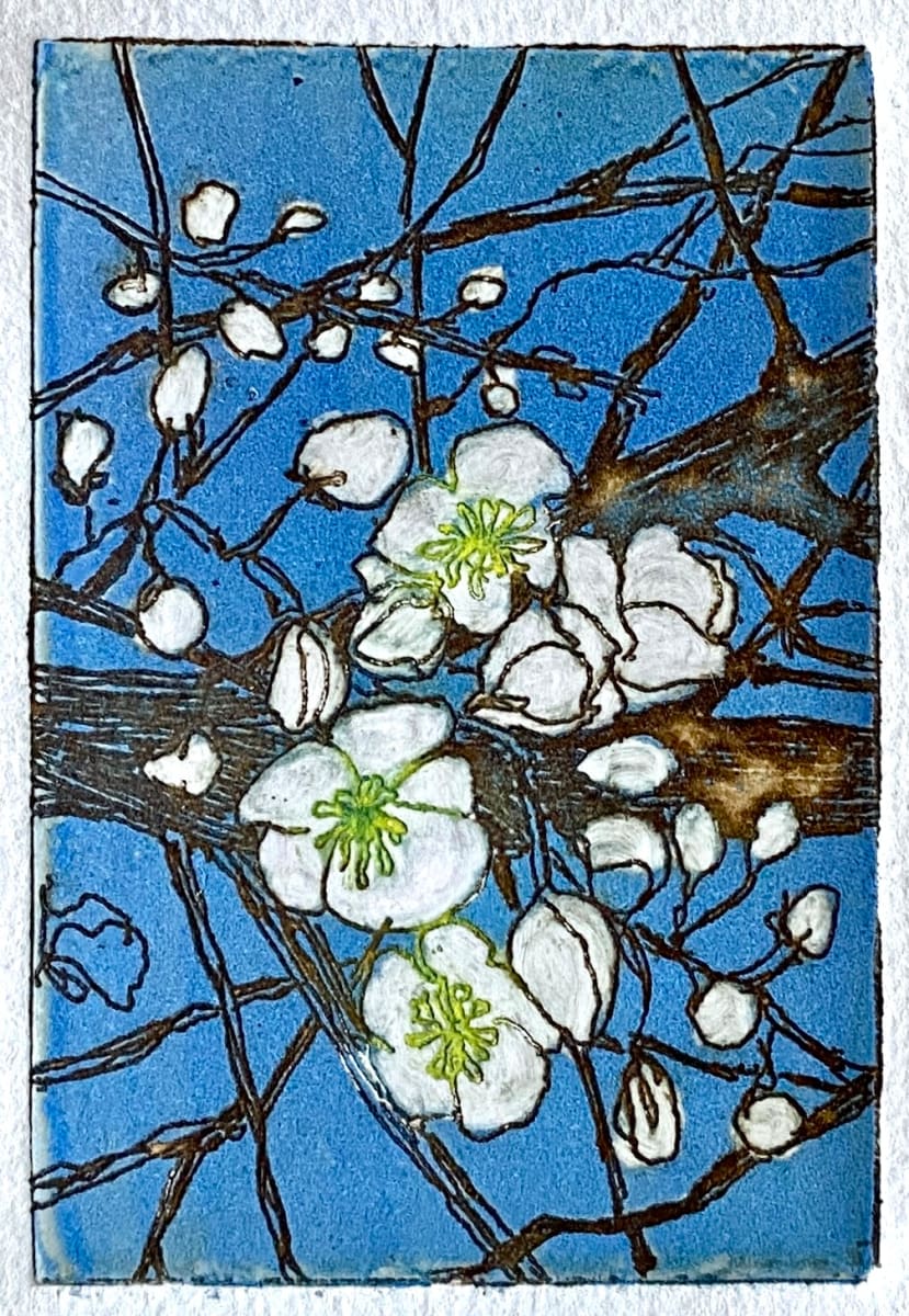 Pruimenbloesem (Plum blossom) by Philine van der Vegte 