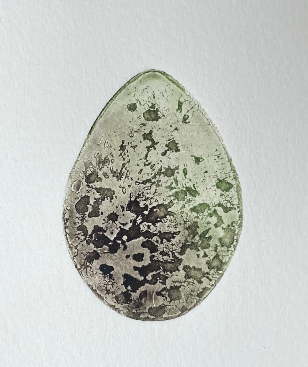 Scholeksterei (Oyster catcher's egg) by Philine van der Vegte 