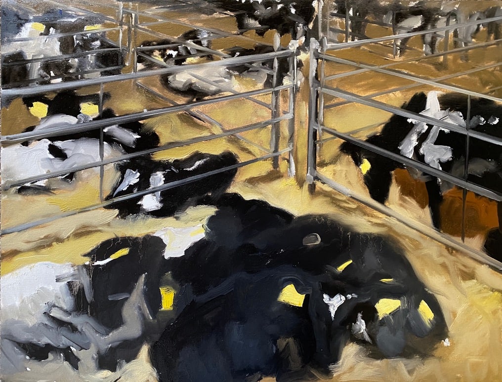Calves at the livestock market by Philine van der Vegte 