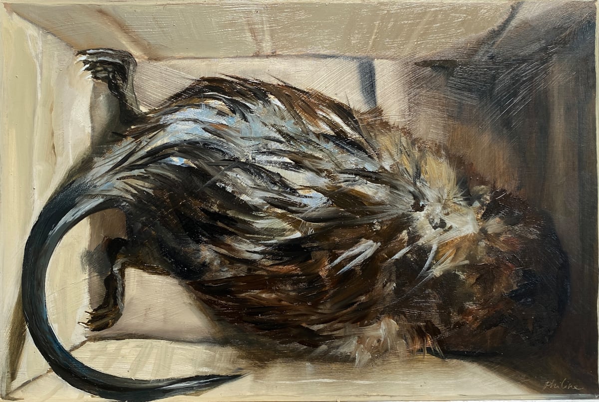 Muskrat by Philine van der Vegte 