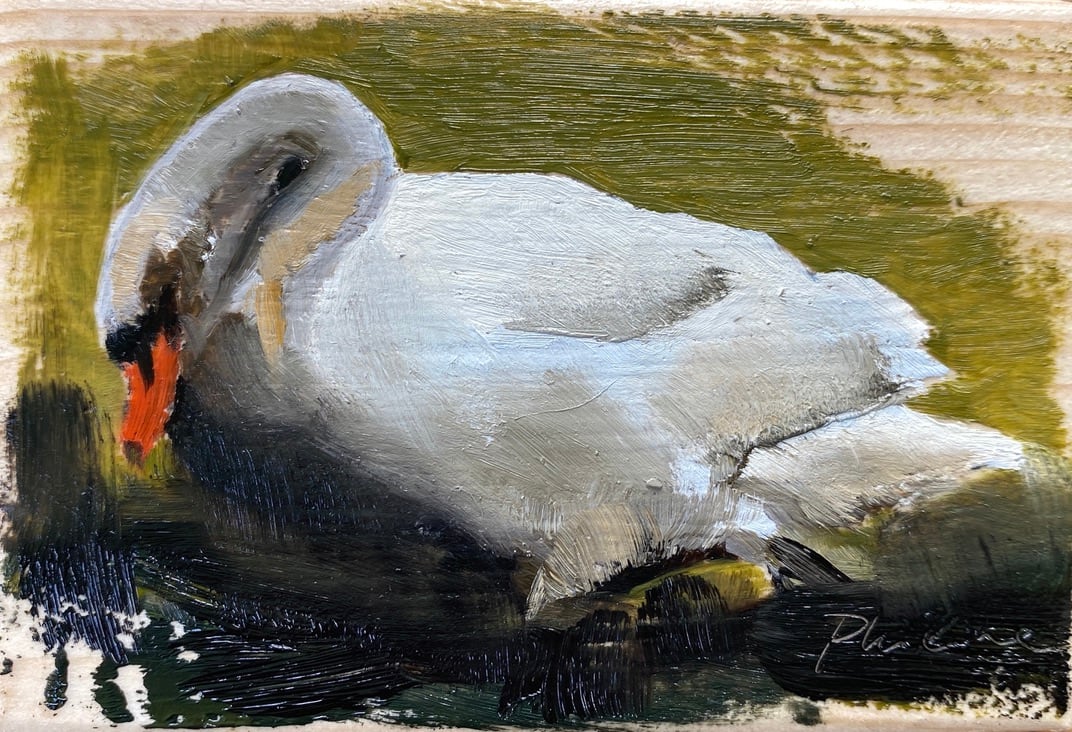 Swan III 