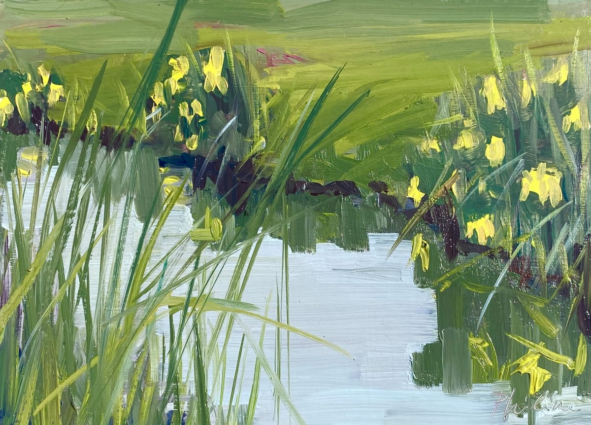 Yellow irises by Philine van der Vegte 