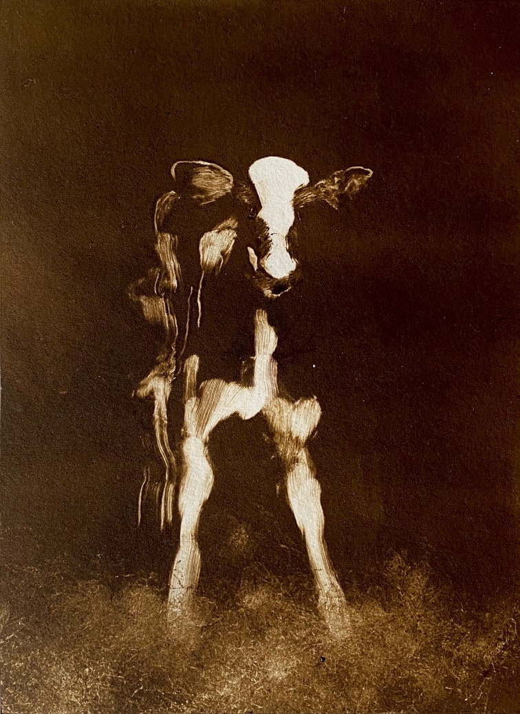Calf monotype by Philine van der Vegte 
