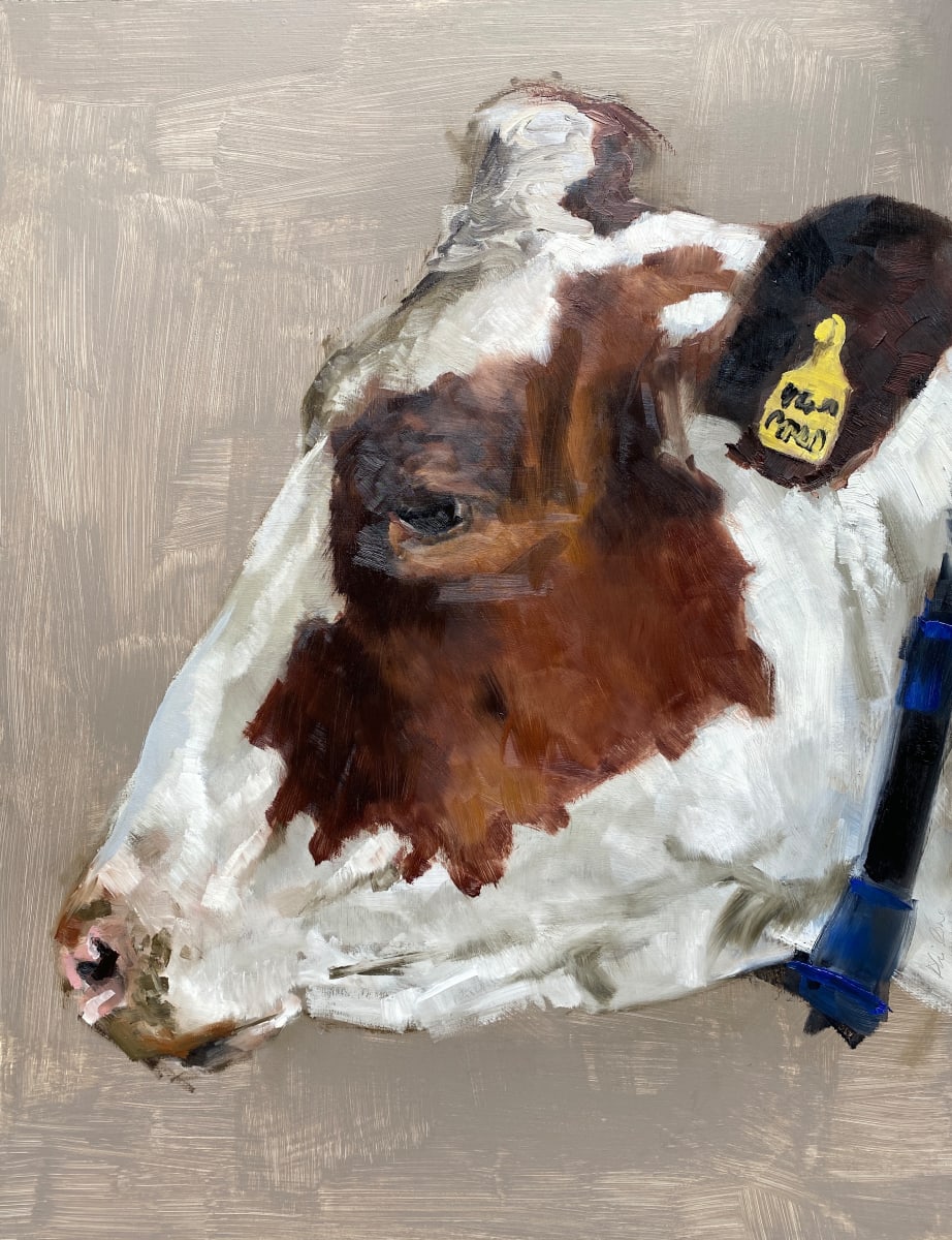Head study of a dairy cow by Philine van der Vegte 