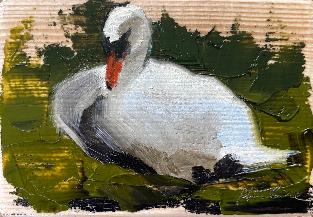 Swan V 