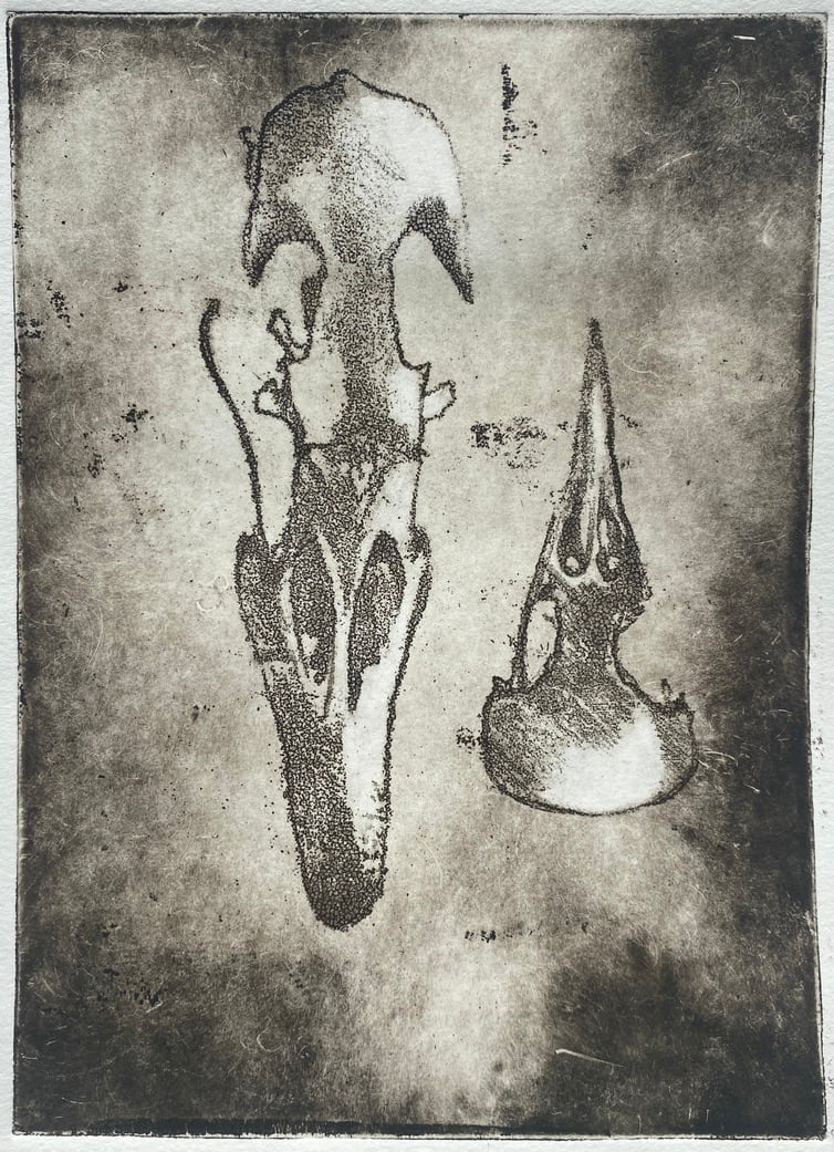 Goose and chicken skull by Philine van der Vegte 