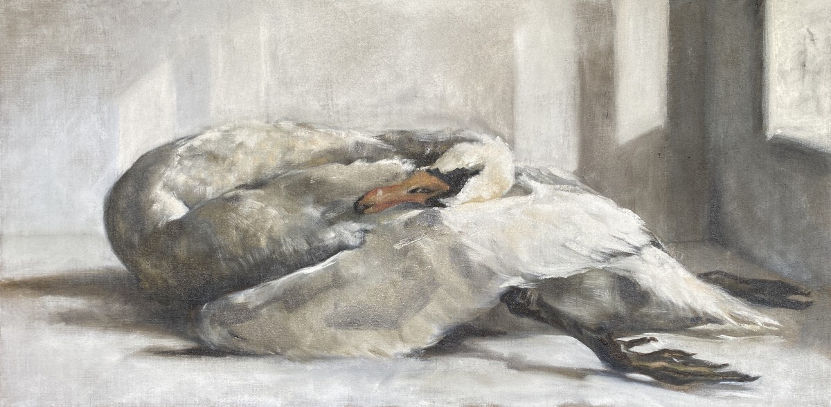 Afschot (Culled) by Philine van der Vegte 