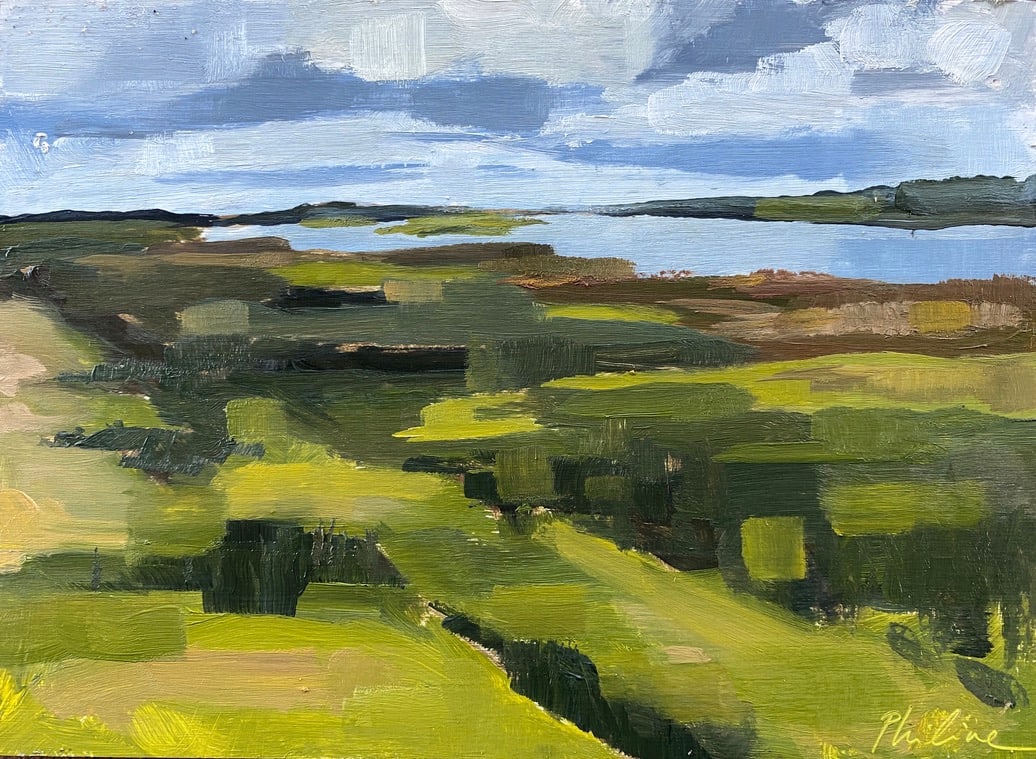 Patches of landscape 