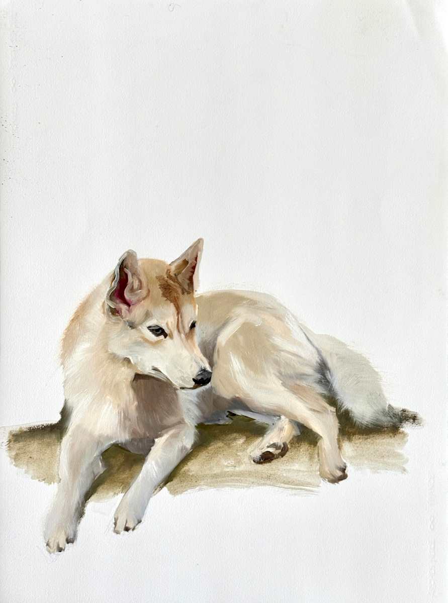 Puppy by Philine van der Vegte 