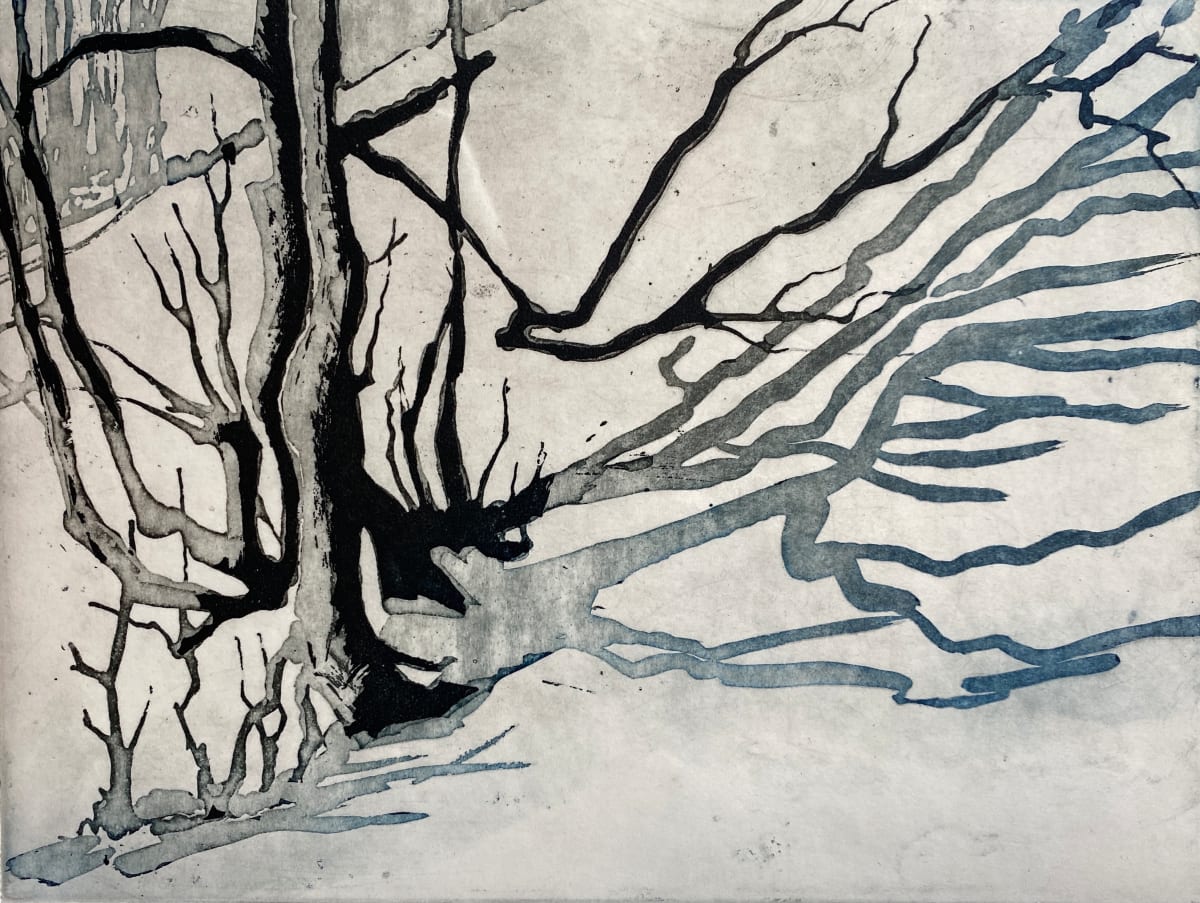 Shadows in the snow by Philine van der Vegte 