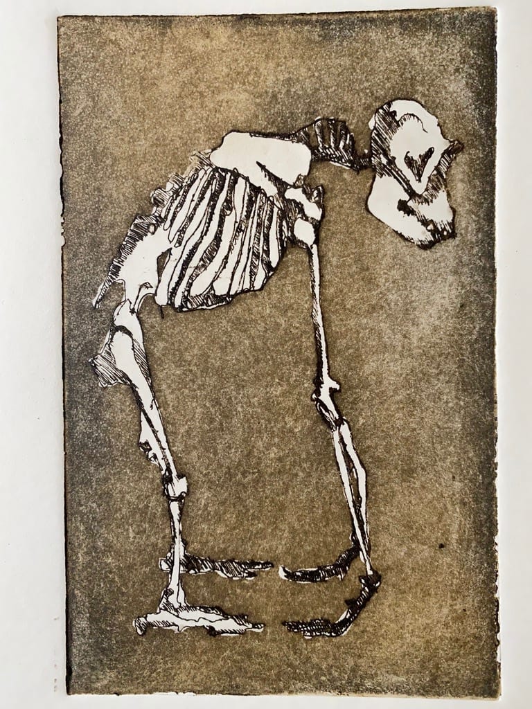 Gorilla skeleton by Philine van der Vegte 