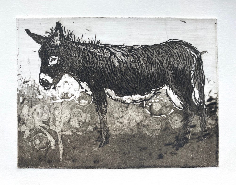 Donkey by Philine van der Vegte 