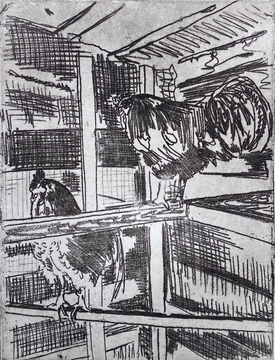 Twee hanen (Two Cockerels) by Philine van der Vegte 