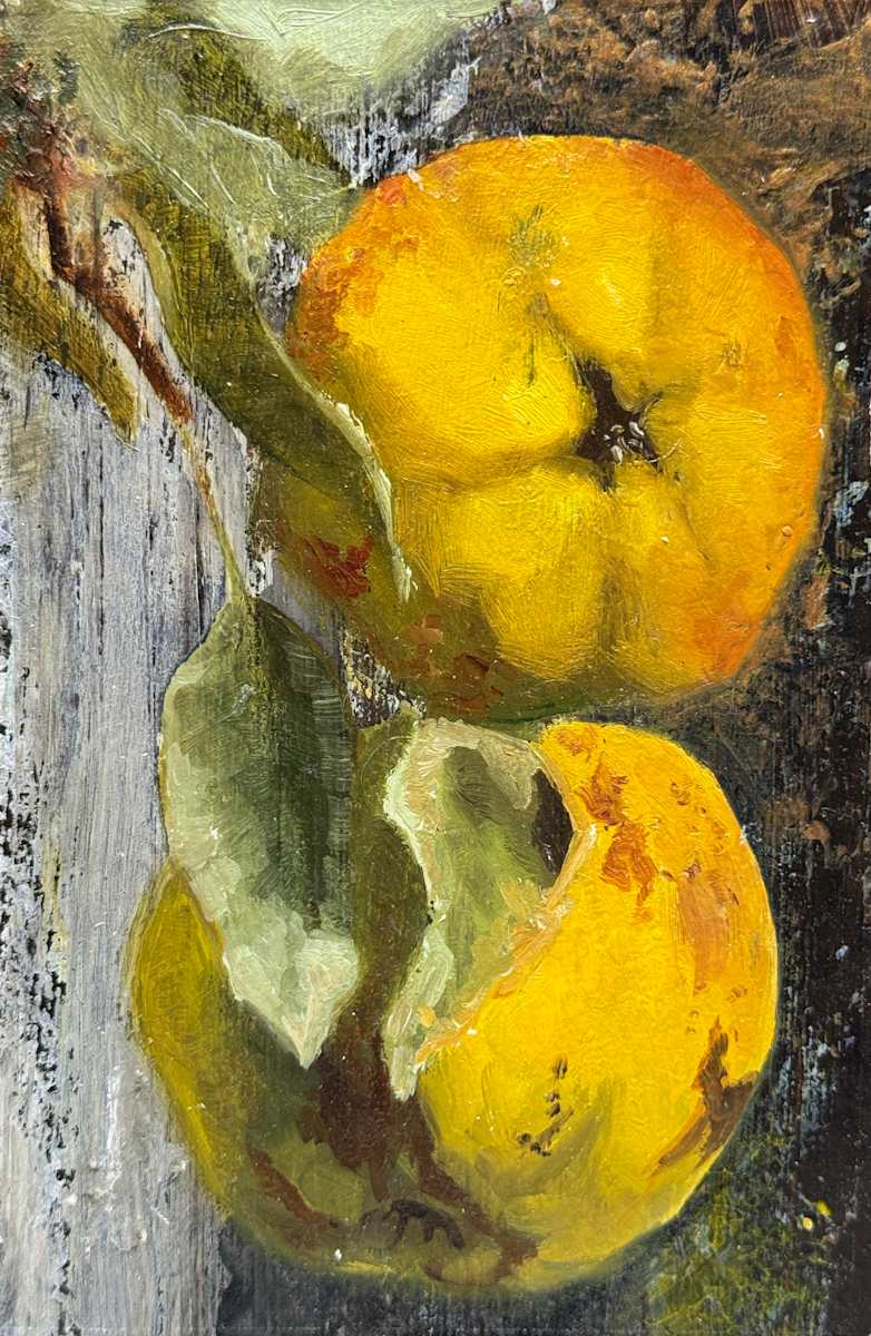 Quince II by Philine van der Vegte 