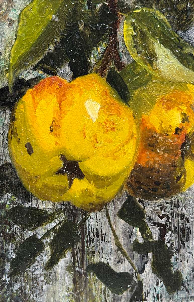 Quince III by Philine van der Vegte, Image 3.