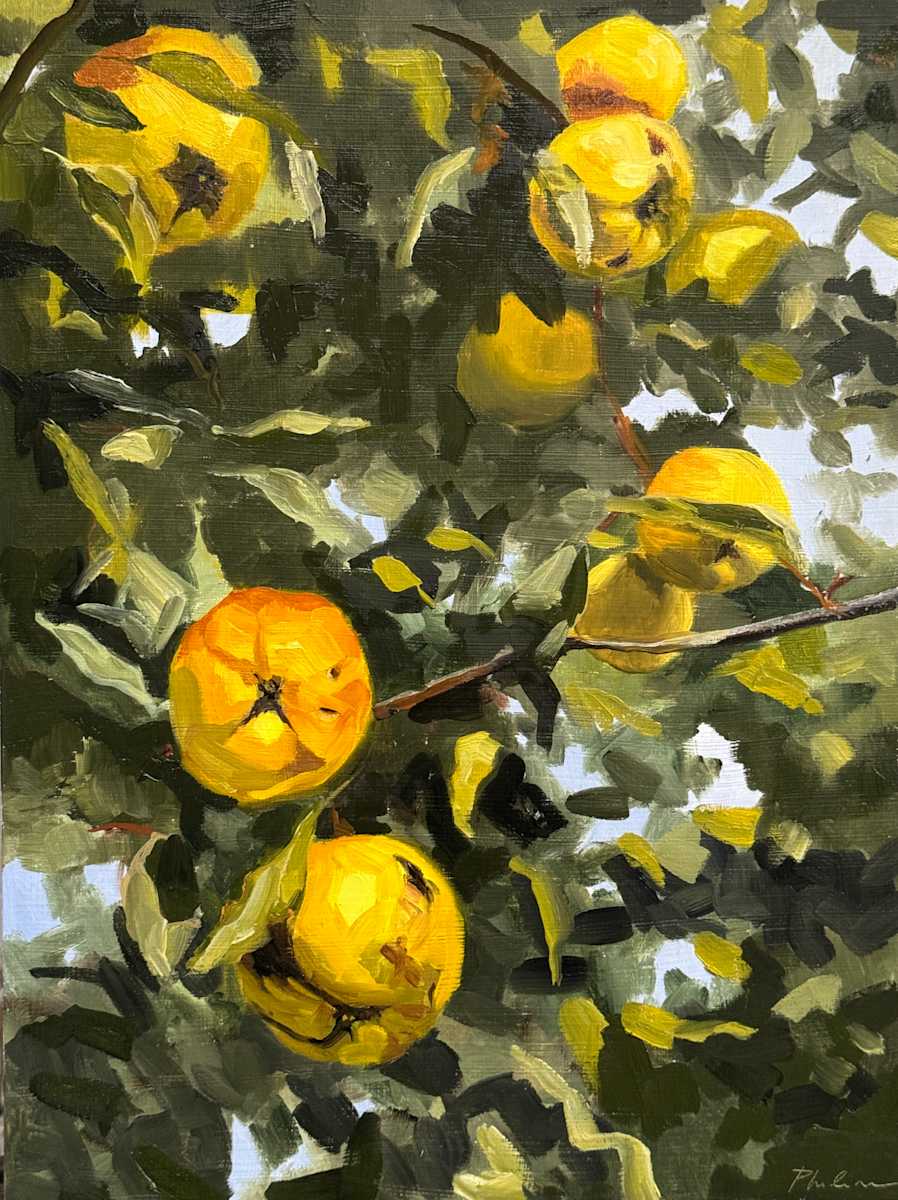 Quince tree by Philine van der Vegte 