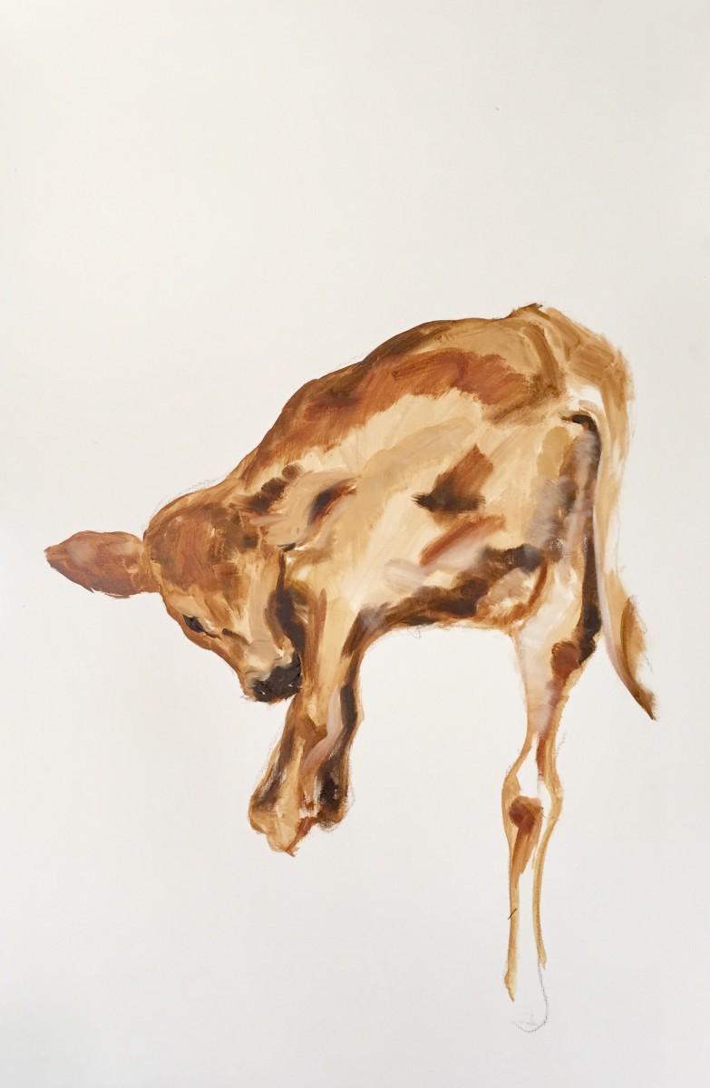 Portrait of calf #0202 by Philine van der Vegte 