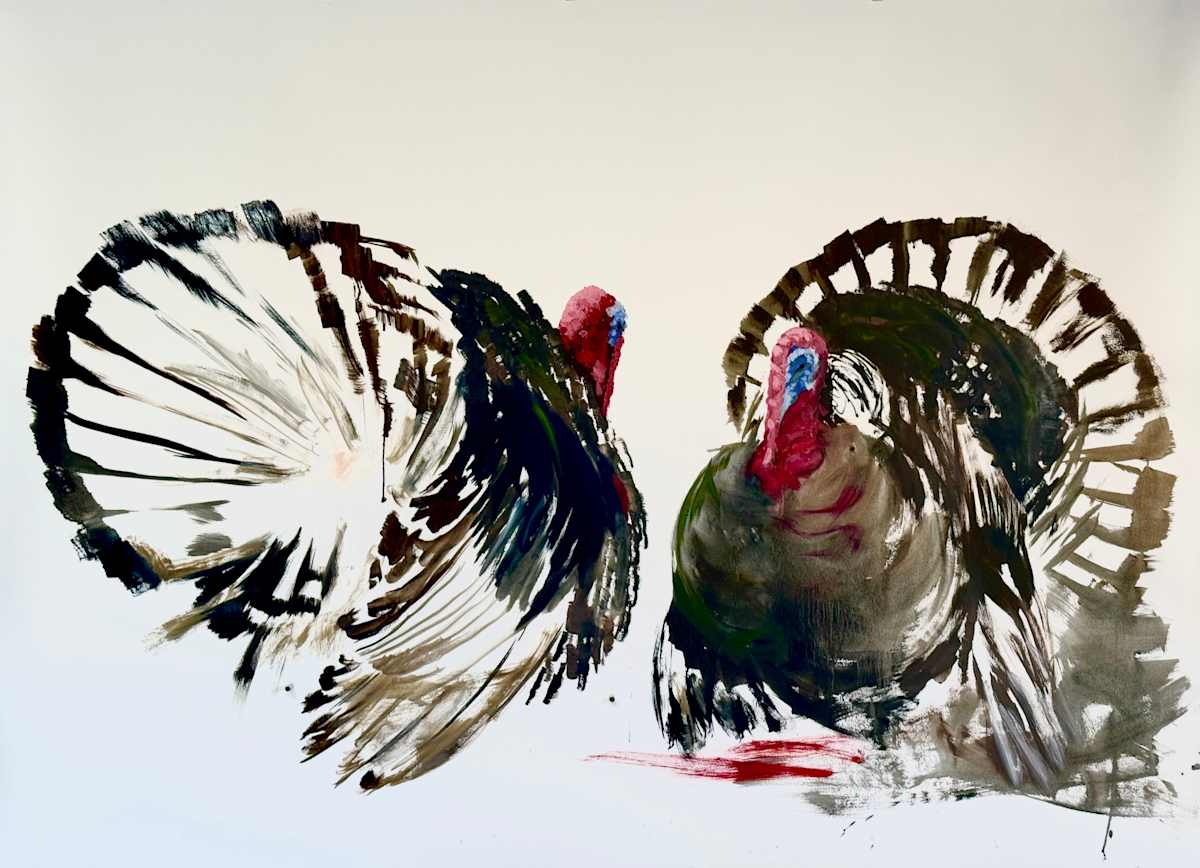 Turkey standoff by Philine van der Vegte 