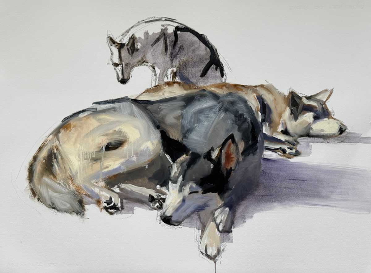 Working dogs by Philine van der Vegte 