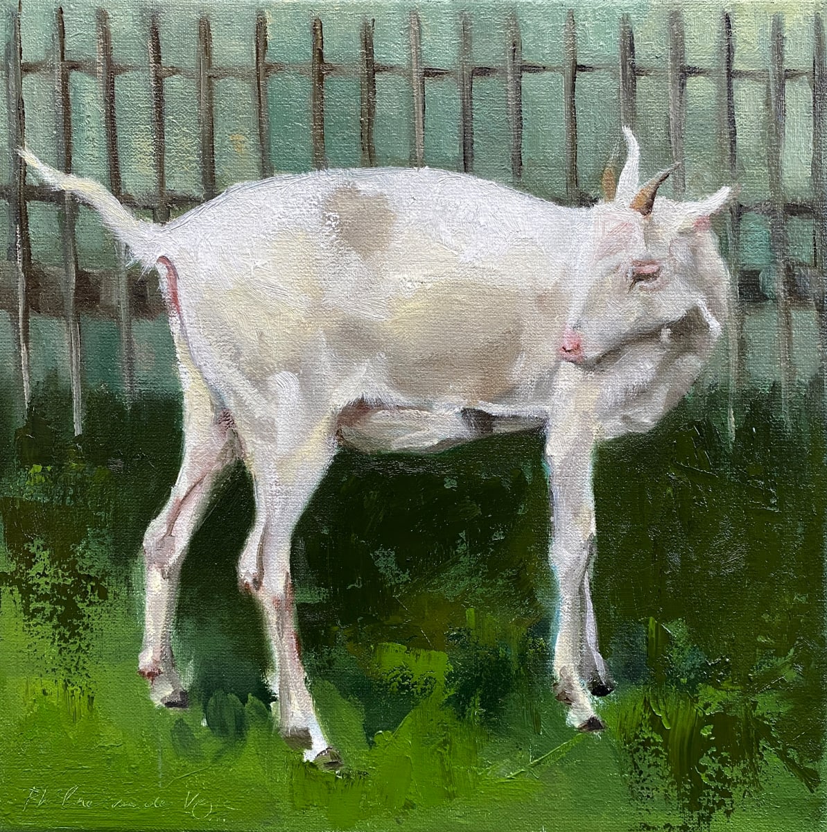 Geitje (White goat) by Philine van der Vegte 