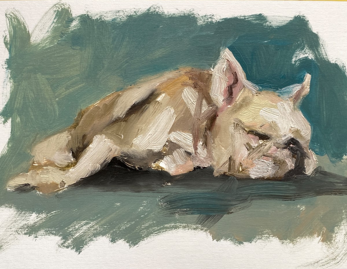 Sleeping doggie by Philine van der Vegte 