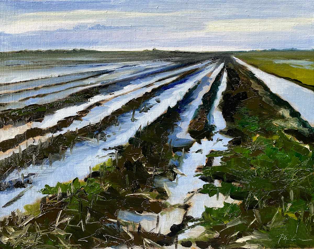 Winter fields by Philine van der Vegte, Image 1.