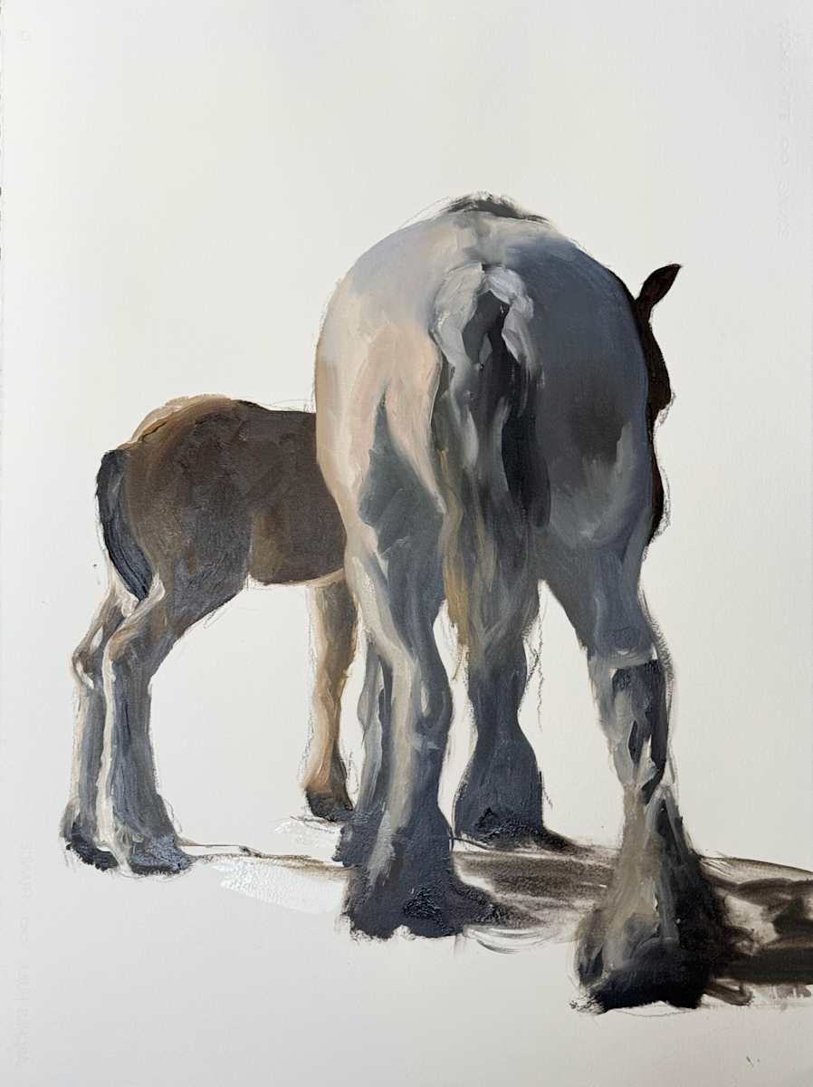 Memory of a French field by Philine van der Vegte 