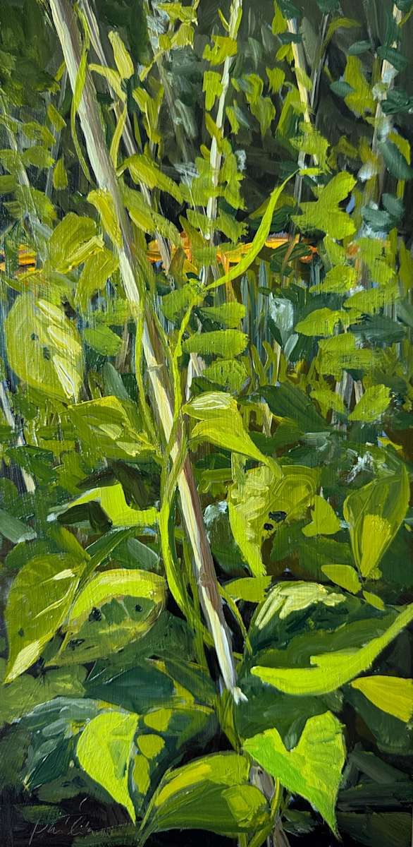 Boontjes (Beans) by Philine van der Vegte 