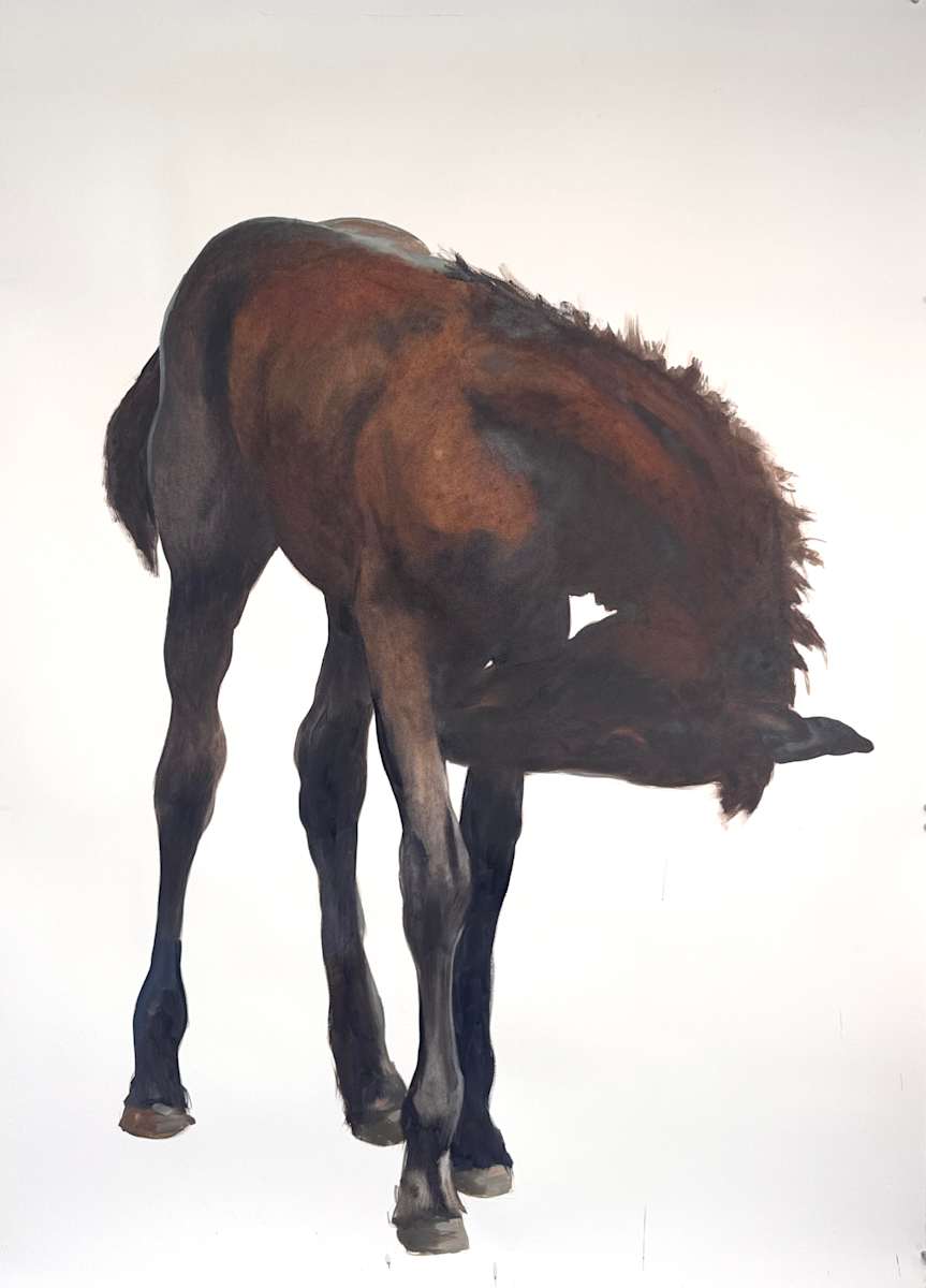 Grooming foal by Philine van der Vegte, Image 1.