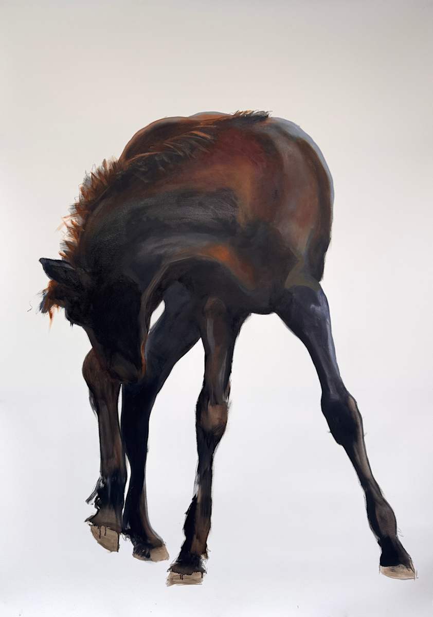 Endless legs by Philine van der Vegte, Image 1.