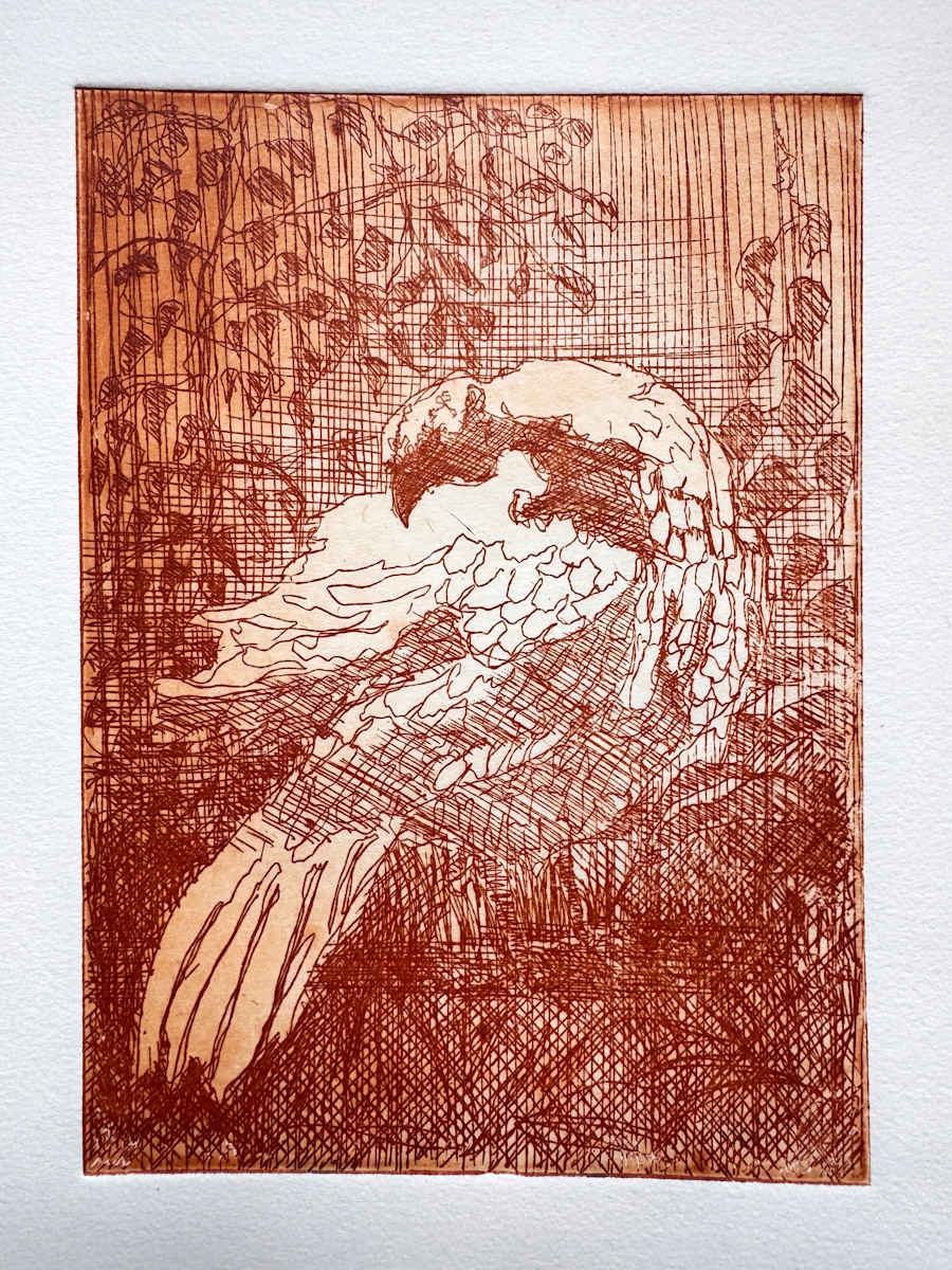 Preening by Philine van der Vegte 