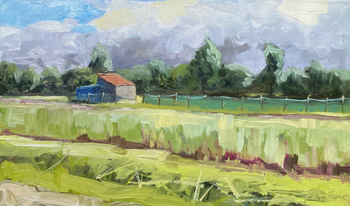 Bollenschuurtje in de zon (Bulb shed in the sun) by Philine van der Vegte 