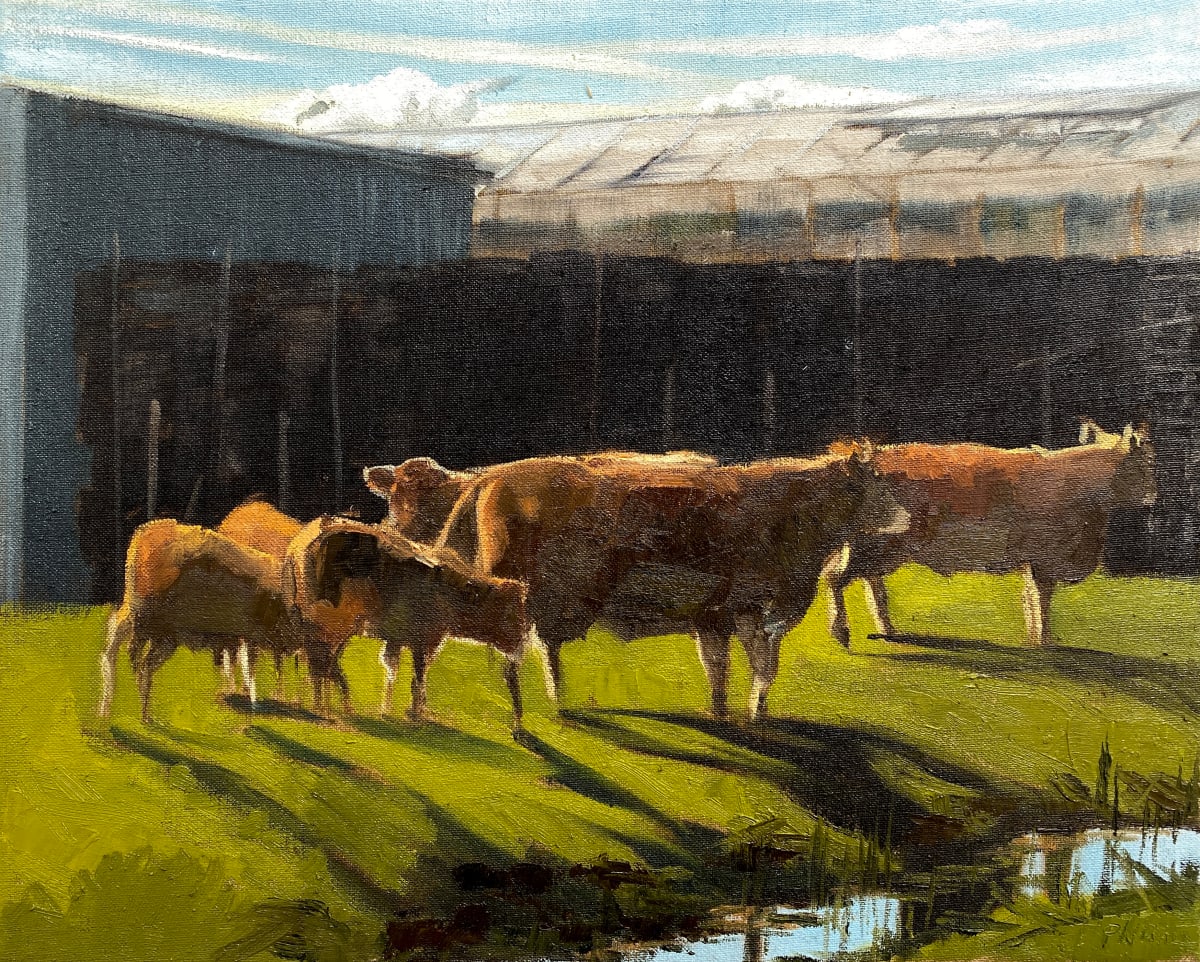 Rijnsburg by Philine van der Vegte 