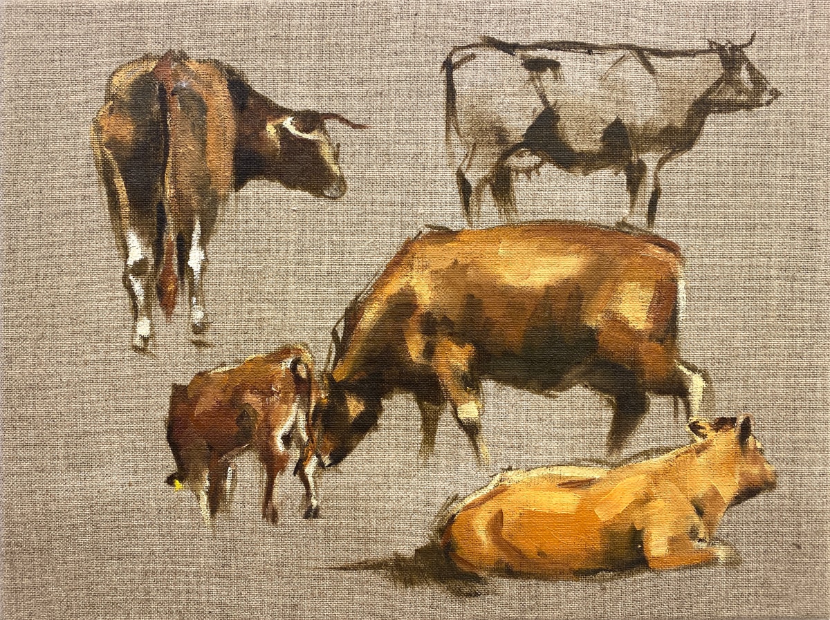 Cow sketches I by Philine van der Vegte 